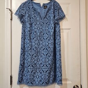 Adriana Papell Lace Overlay Dress Size 14 Distressed Eyelite Dress
